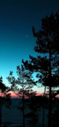 nature