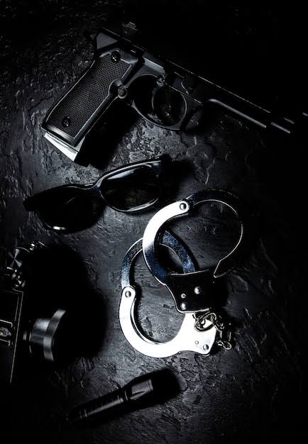 Criminal Partners