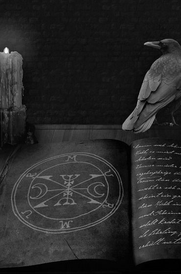 ﾠﾠﾠﾠcorvus oculum corvi non eruit. ຊ