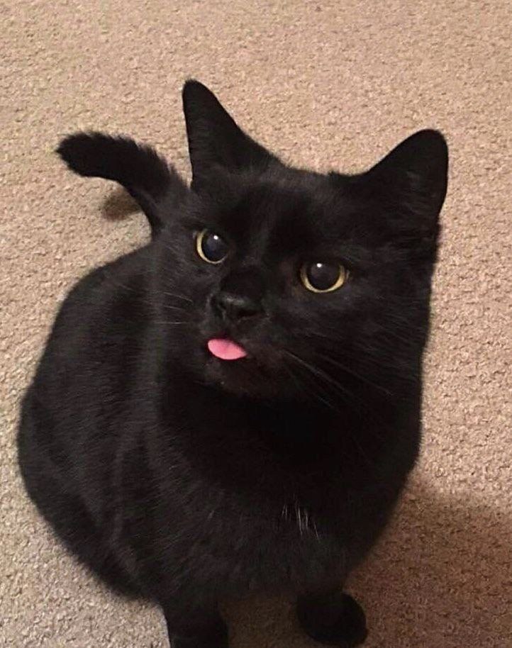 E o post?