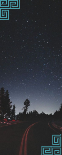 ㅤㅤ♢ the missing linkㅤㅤ