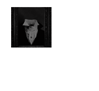 bl&oslash;&oslash;d hunters.