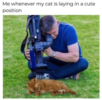 CONTROL CAT
