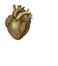 &sdot;ᴛʜᴇ ғoʀᴇvᴇʀ ʜoᴍᴇ&sdot;