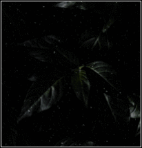 &lsaquo;ᴇᴀʀᴛʜ&sdot;2.0&rsaquo;