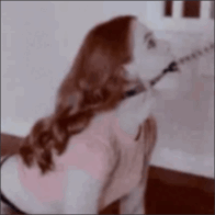 pet
