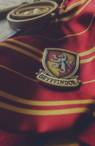 ㅤㅤㅤGryffindor Pride ⌁ central.ㅤㅤㅤ