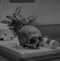 the democracy of the dead