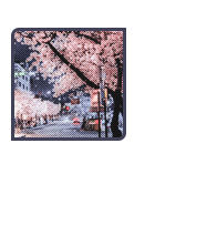 « 𝓐𝗟𝗟 𝓣𝗛𝗘 𝓑𝗥𝗜𝗚𝗛𝗧 𝓟𝗟𝗔𝗖𝗘𝗦. 🌸🍃 »