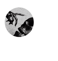 𝖀𝖓𝖍𝖔𝖑𝖞 ⸸ 