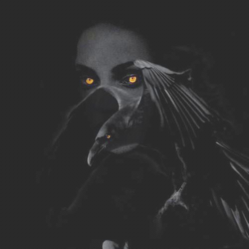   &bull;   ʙʟʌcҡ ʌs ʌ cʀᴏw