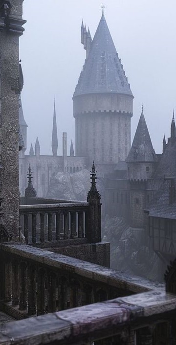 ʜᴏɢᴡᴀʀᴛꜱ.