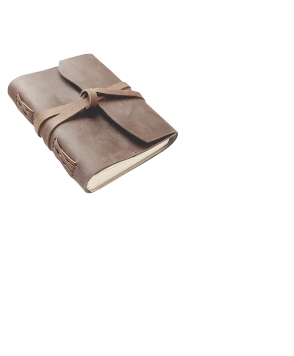 COLET&Acirc;NIA BARDORESCA: Di&aacute;rios.