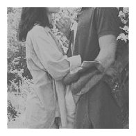 ᴅɑrk ᴘɑrɑᴅɪse.