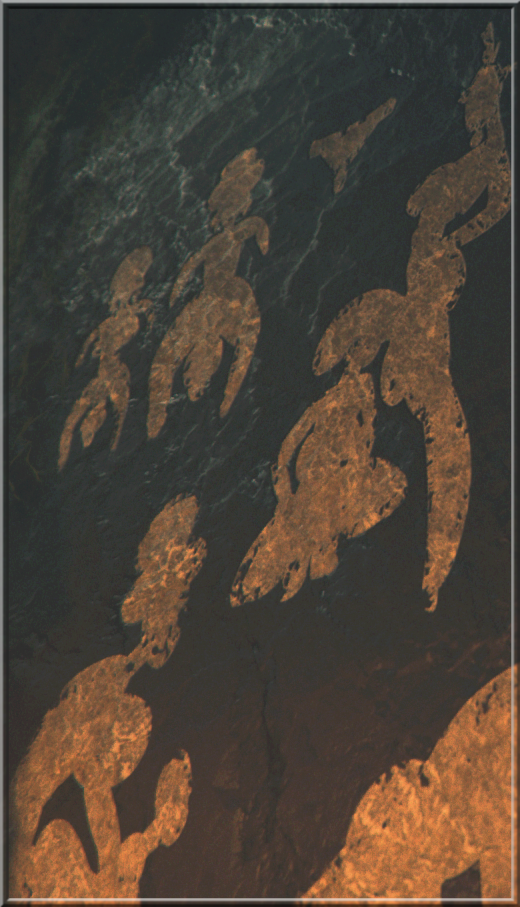 █▓▒▒░░░invading the looter░░░▒▒▓█