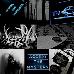 ᴡʜᴀᴛ ᴛʜɘ ғυc..