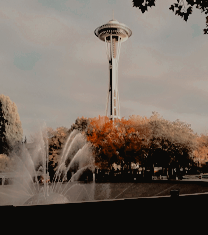 𝒔𝒆𝒂𝒕𝒕𝒍𝒆, 𝒘𝒂