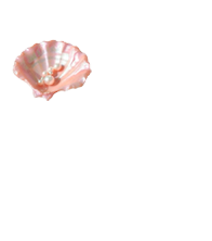 ∙ꩭ℩x℩ᴇhᴇ&alpha;rt .ܤ∙