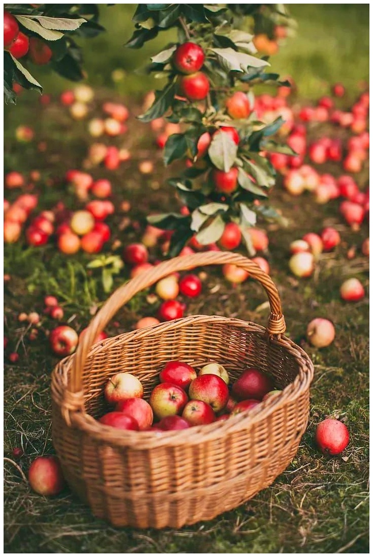 &Chi;&rho;&upsilon;&sigma;ό &mu;ή&lambda;&omicron;