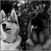 𝑤𝑎𝑙𝑘𝑖𝑛𝑔 𝑎𝑓𝑡𝑒𝑟 𝑦𝑜𝑢