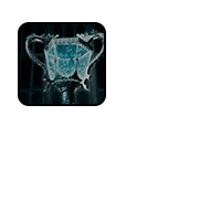 TRIWIZARD TOURNAMENT.
