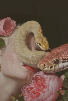 ᴛʜᴇ ᴄʀᴏᴏᴋᴇᴅ ᴘᴀᴛʜ