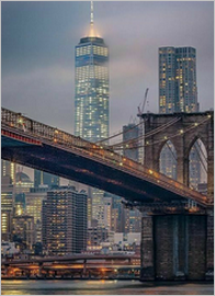 「 DGA ›› Nova York 」