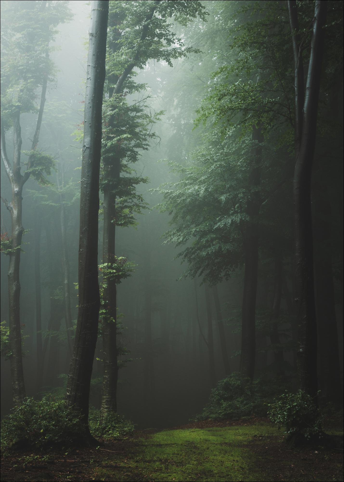 Silent Watchers — survival 