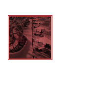 ‹ᴏᴀsɪs ⋅ ʀᴇsᴏʀᴛ›