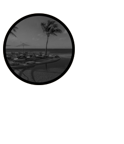 ‹ᴏᴀsɪs ⋅ ʀᴇsᴏʀᴛ›