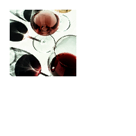 sᴜᴍᴍᴇʀ ᴡɪɴɴᴇ.