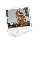 &middot; between flowers and fruits &middot;