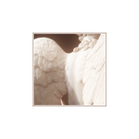 ⸺ the Echo of Light