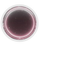 ㅤ&lsaquo;      c&n      &rsaquo;