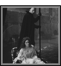 lost in a (lavender) haze