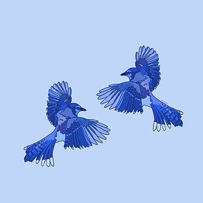 Bluebird.