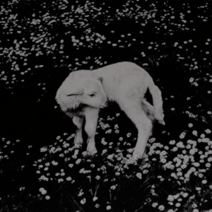 ‹plutonian·ode›
