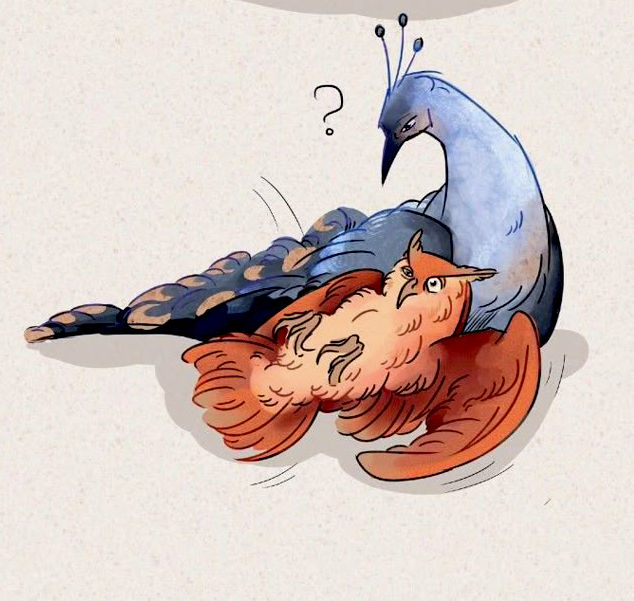 ━ tales of fire and ice;