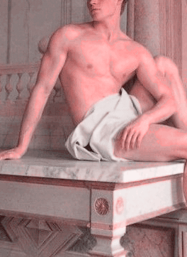 adonis