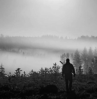 The wild hunt. 