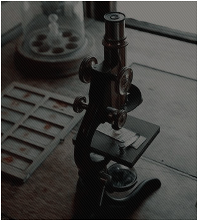  [ LAB ]