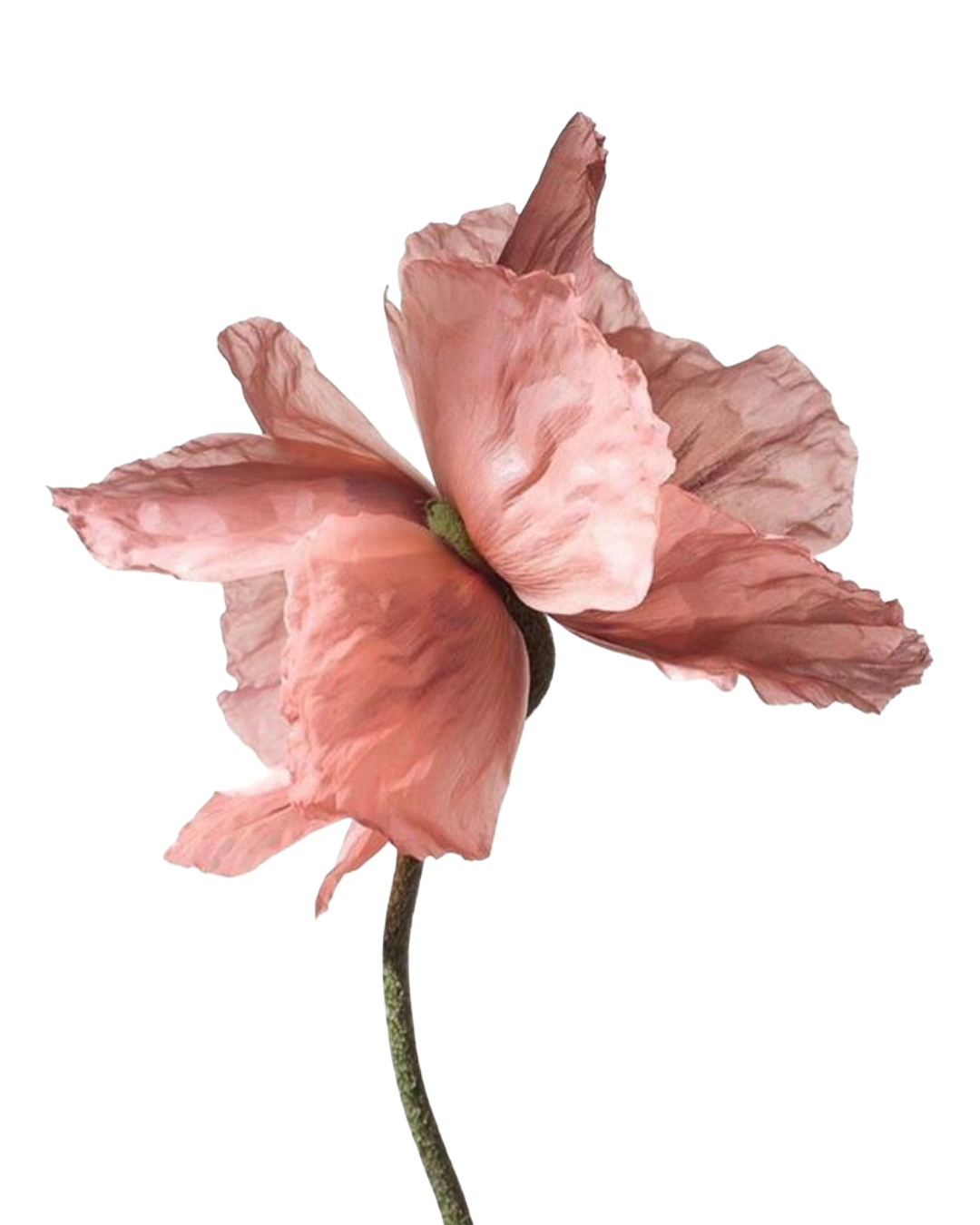 @loglady99