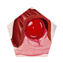 𝐕.🍒 
