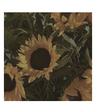 ࿐ ࿔*:･ﾟ