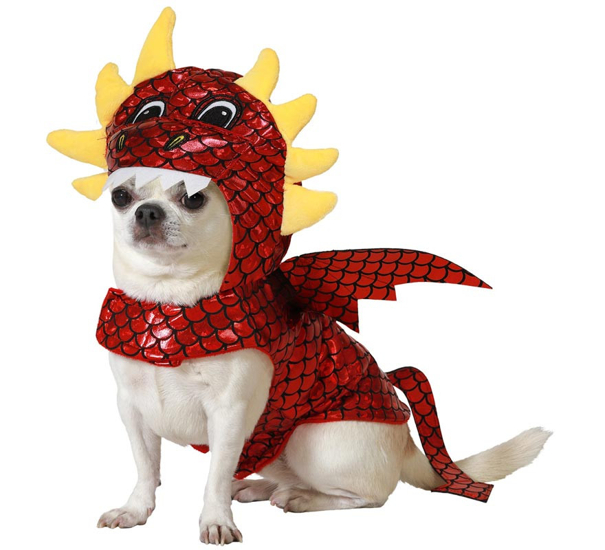 aaaaaa tesao de cachorro e dragaooooo
