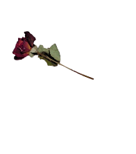 &lsaquo; ᴍısəʀч soᴜʟs &rsaquo;