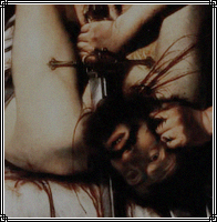 · Blood Festival ·