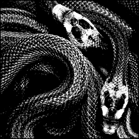 𝑾𝒊𝒍𝒅𝒆𝒔𝒕 𝑩𝒐𝒚
