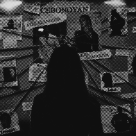 Case 237: Mayor Homicide. 