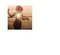 .·:☼¨faísca genética¨☼:·.